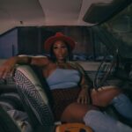 daylin ryder metal sample