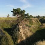 kotora melnkalne metal