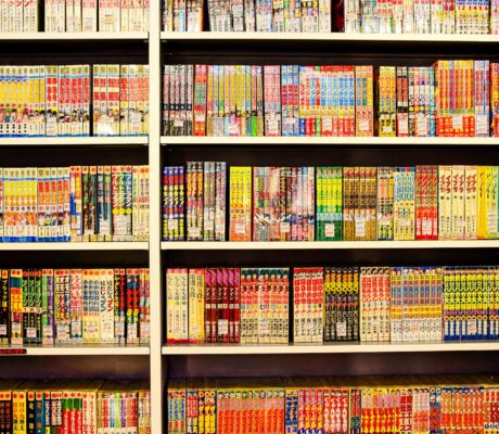 manga website interface