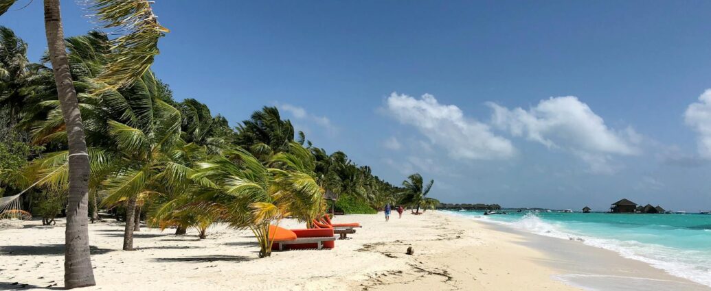 paradise beach landscape