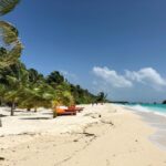 paradise beach landscape