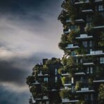 sustainable building materials future