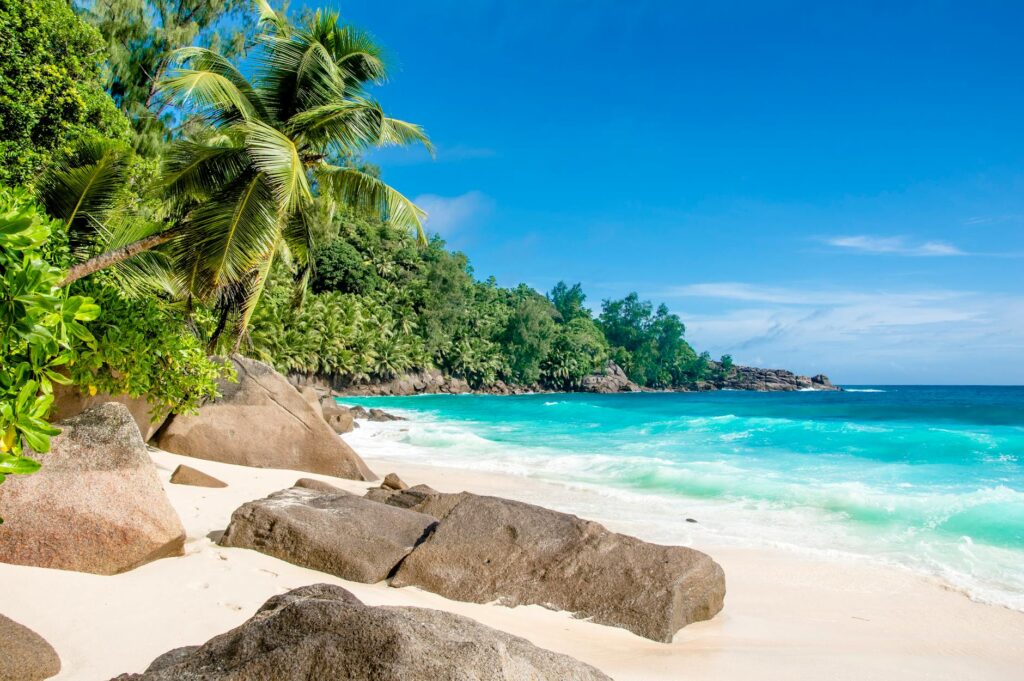 tropical beach resort