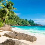 tropical beach resort