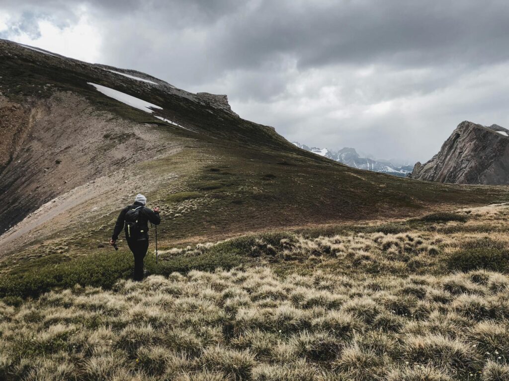 Anthea Turner TV presenter