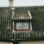 asbestos fibres microscopic