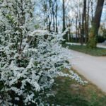 beata thunberg metal sculpture