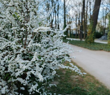 beata thunberg metal sculpture