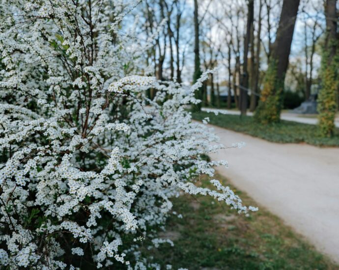 beata thunberg metal sculpture
