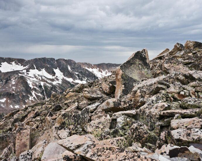 caroline jackson portrait