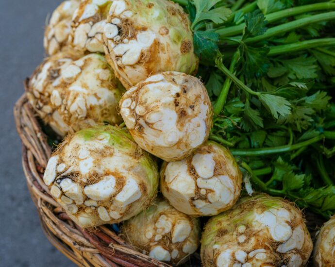celeriac root vegetable