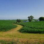 central Iowa landscape