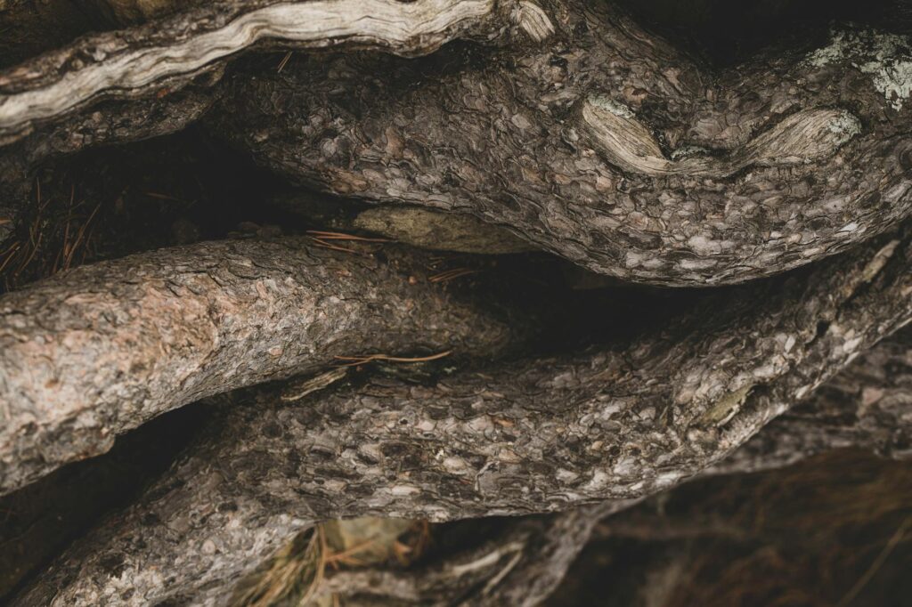 complex organic molecule structure