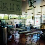 edivawer process diagram