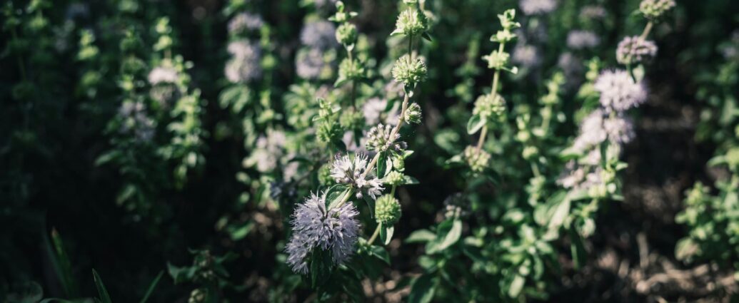 eniko hart sculpture