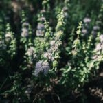 eniko hart sculpture