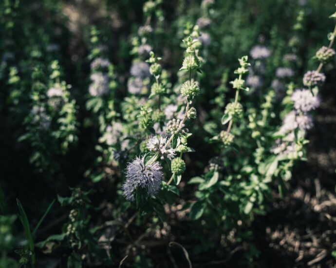 eniko hart sculpture