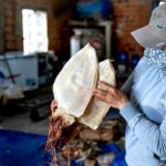 fresh squid preparation