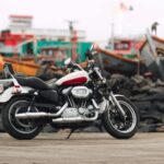 Harley Moon Kemp portrait