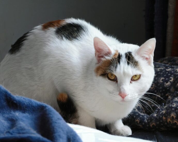 kitty mcintyre metal sculpture