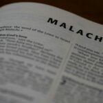 Malachi Ross professional photo