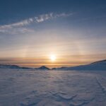 Mark Bignell sculpture