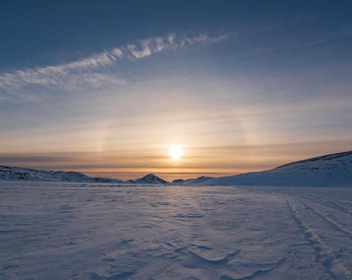 Mark Bignell sculpture