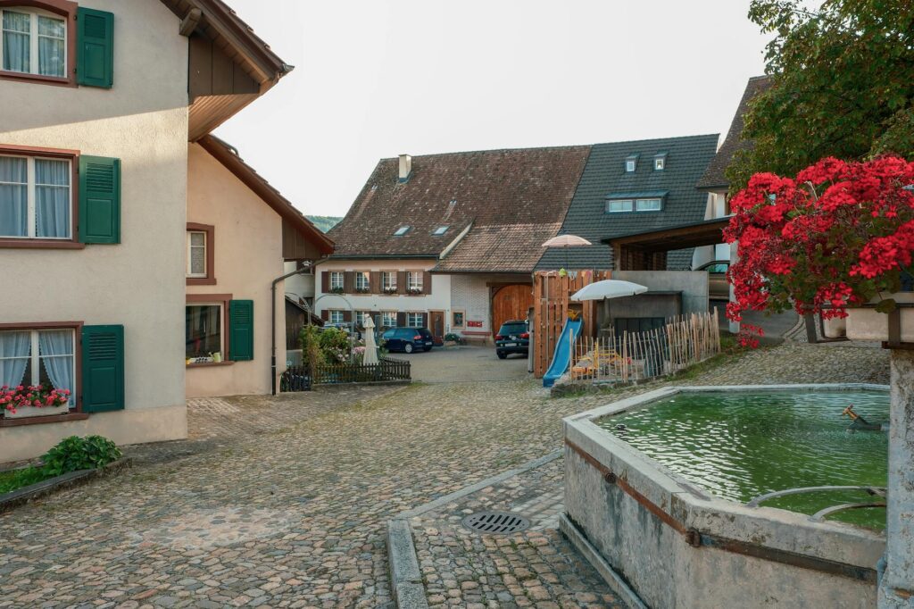 Melker Schörling AB Anticimex strategy