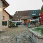 Melker Schörling AB Anticimex strategy