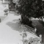 Meredith Schwarz portrait