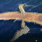 metal deformation pressure