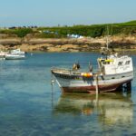 nancy harbour detailed illustration