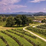 North Carolina Piedmont Triad map