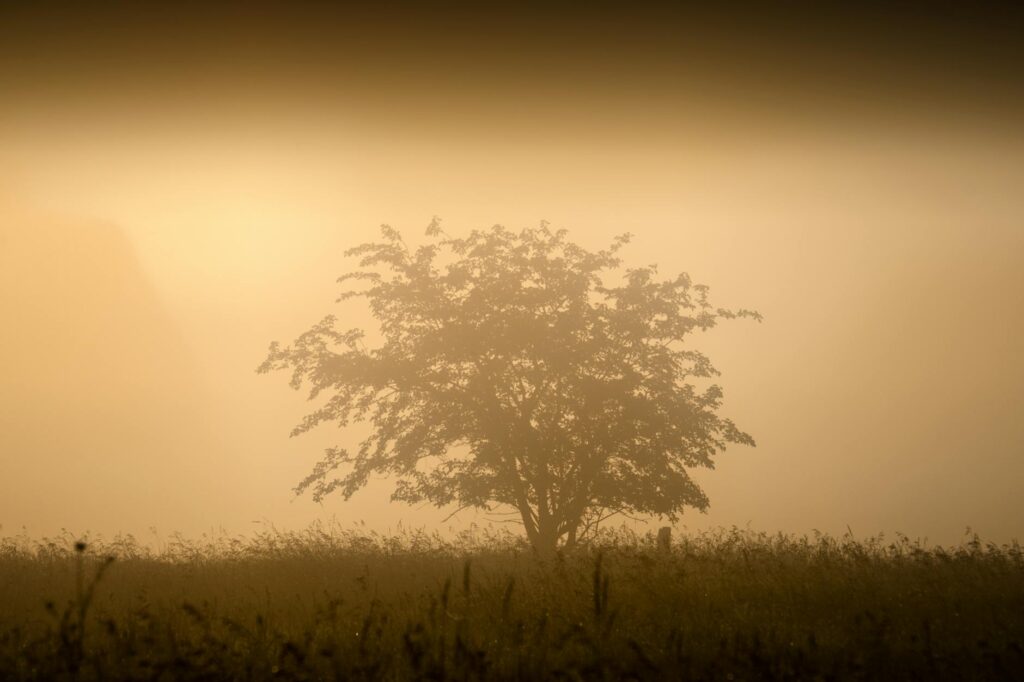Northwestern Kellogg campus