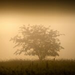 Northwestern Kellogg campus