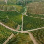 Piedmont Triad landscape