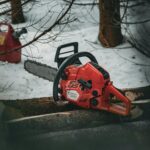 Pochita chainsaw dog art