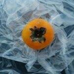 ripe persimmon fruit