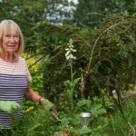 Rosemary Pitman urban planning 2026