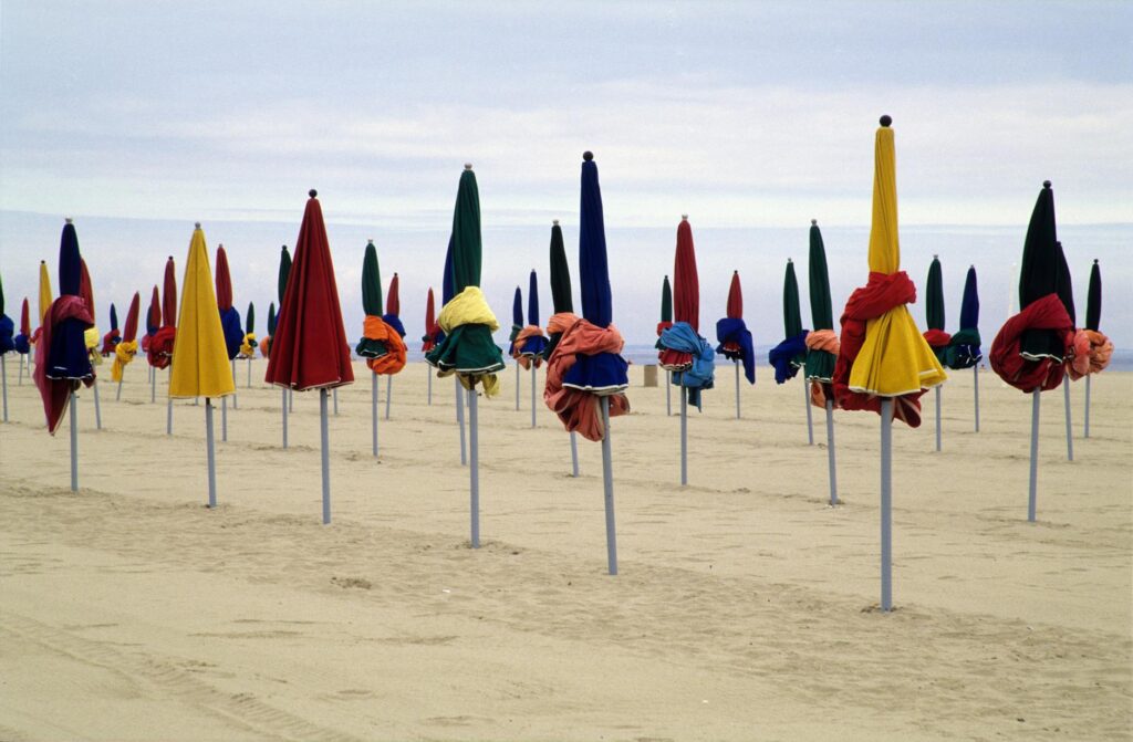 sandy mahl sculpture close up