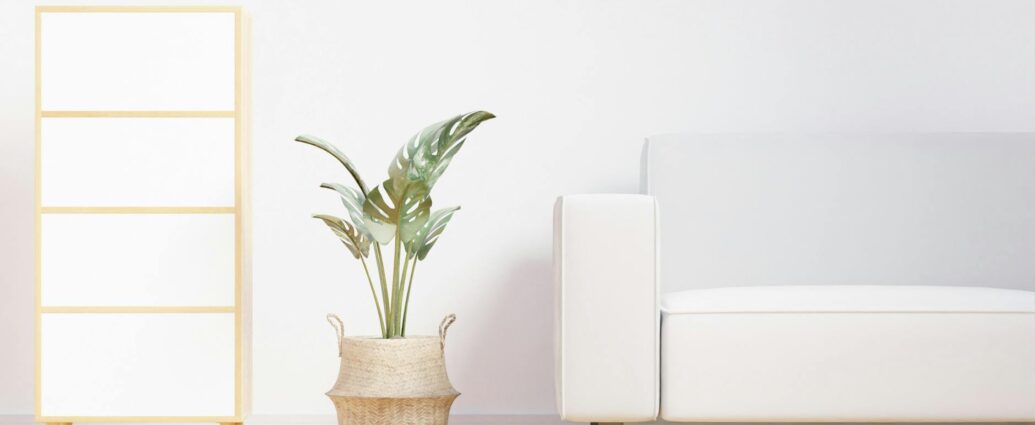 simple living concept