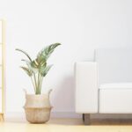 simple living concept