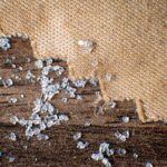 sodium silicate ceramic structure