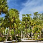 southwest florida map