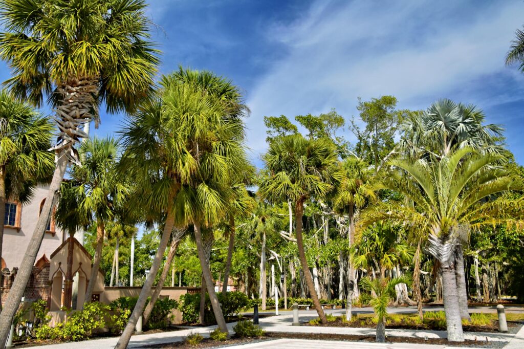 Southwest Florida map