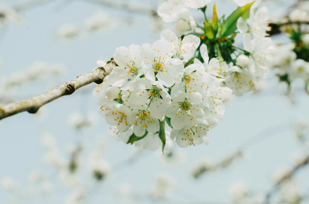 woody floral perfume bottle